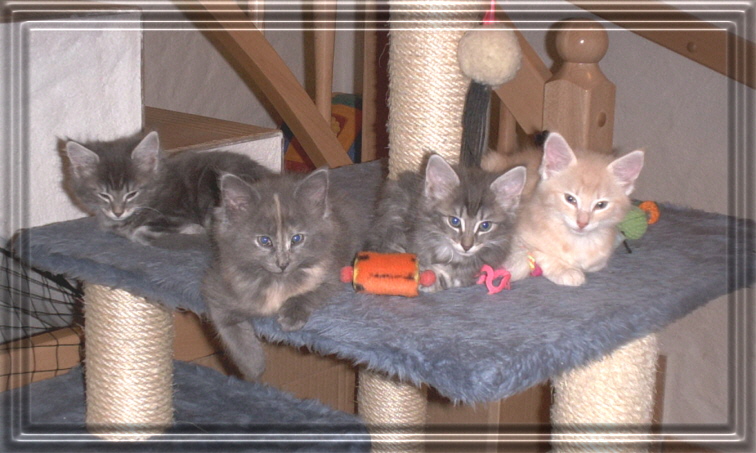 Babies22-05-02-1-rahmen.jpg (159989 Byte)