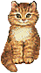 K10.gif (2476 Byte)