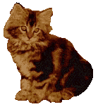 K19.gif (10196 Byte)