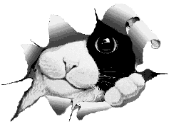 K21.gif (20541 Byte)
