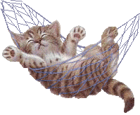 K31.gif (36086 Byte)