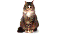 K33.gif (15106 Byte)