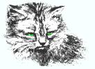 Katze1.jpg (4137 Byte)