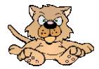 Katze13.jpg (4260 Byte)
