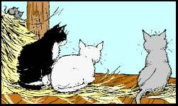 Katze14.jpg (11247 Byte)