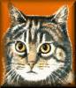 Katze17.jpg (3148 Byte)