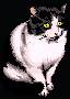 Katze22.jpg (2035 Byte)