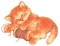 Katze39.jpg (6236 Byte)