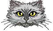 Katze48.jpg (7182 Byte)