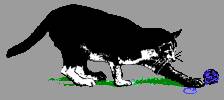 Katze5.jpg (4134 Byte)