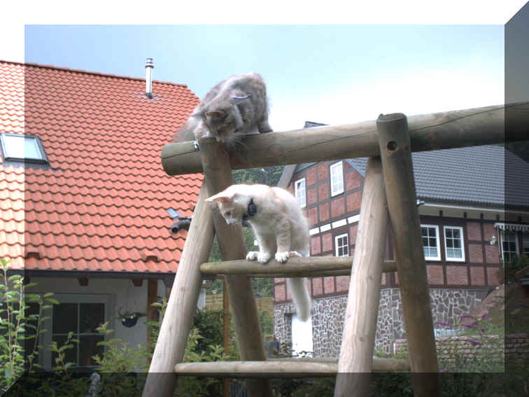 Olli_Sandy10-08-02-1.jpg (215468 Byte)