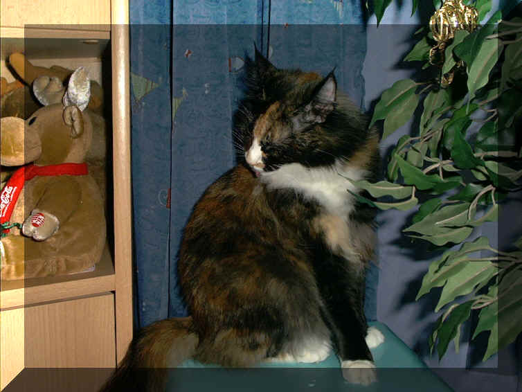Spirit2.jpg (219629 Byte)