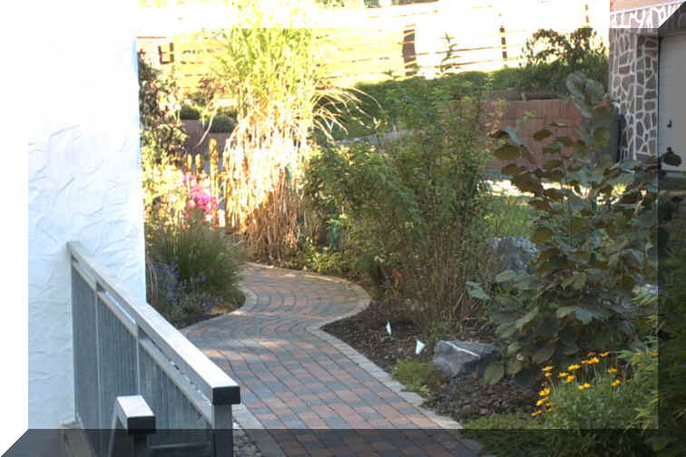 Zaun2.jpg (213295 Byte)