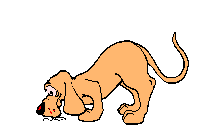 dog_cat.gif (6347 Byte)