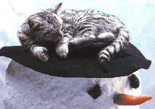 schneemannkatze.gif (37055 Byte)